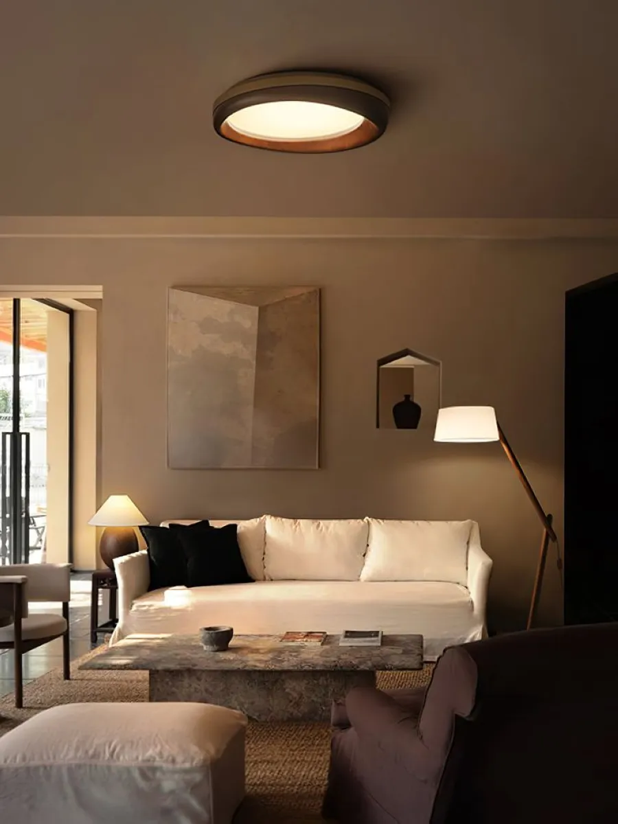 Sometimes simplicity speaks volumes. The flush-mounted light fixture in this living room proves that minimalist designs can still make a statement. Its sleek form aligns with the neutral furniture and natural elements, providing a refined yet understated touch. 