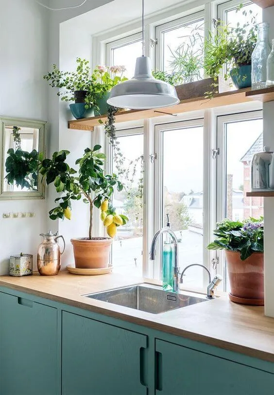 Sunny Kitchen Plant Shelf
A kitchen adorned with a top wooden shelf lined with potted herbs and decorative plants. Positioned directly above the sink, it adds life and a fresh touch to the culinary space.