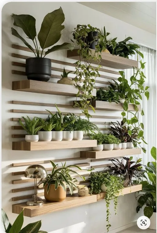 Minimalist Horizontal Plant Display
Horizontal slatted shelves featuring neat rows of potted plants. The uniform design and varied foliage add depth and texture to the minimalist display.