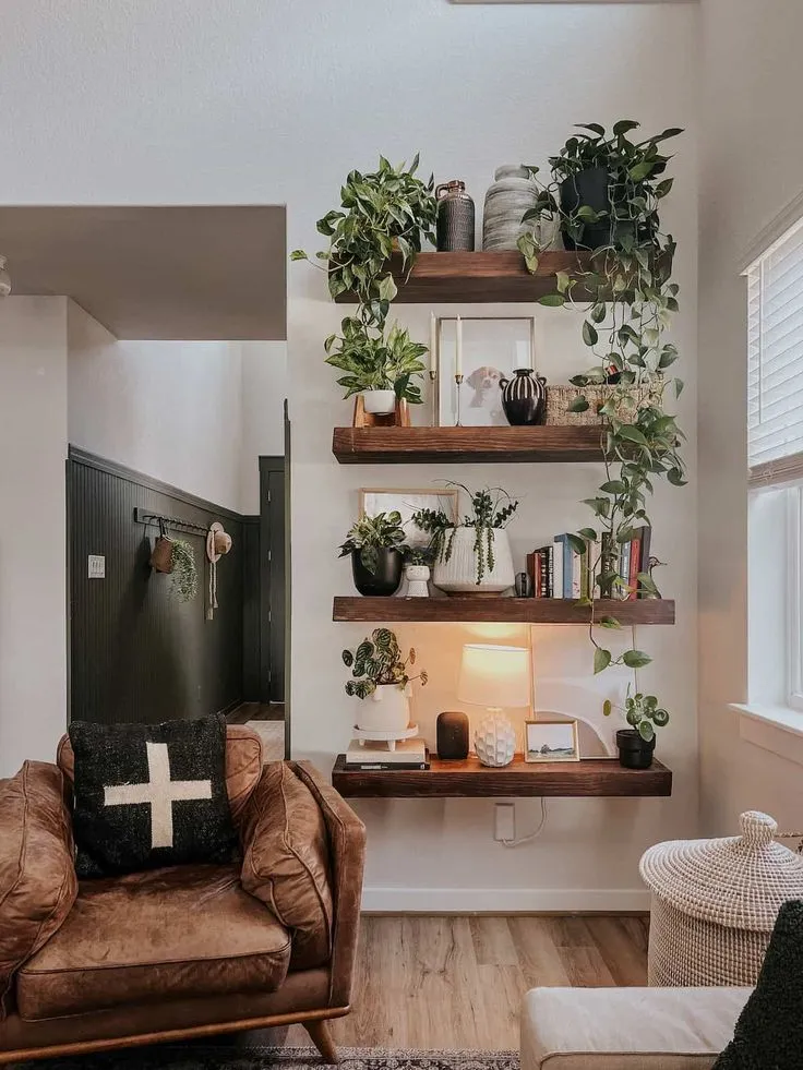 Floating Shelves with Modern Vibes
Set in a cozy living room, these dark wooden floating shelves are styled with potted plants and books. The contrast of green foliage with the dark wood creates a sophisticated and inviting ambiance.