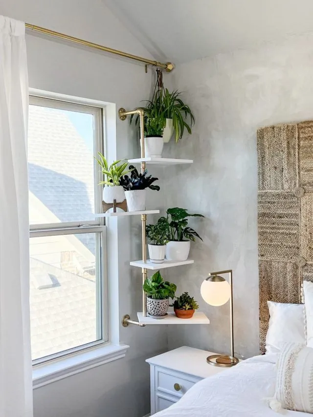 Corner Plant Shelf in a Bedroom
Perfect for small spaces, this golden rod corner shelf adds elegance and functionality. White shelves display vibrant greenery, making the bedroom corner bright and lively without taking up much room.