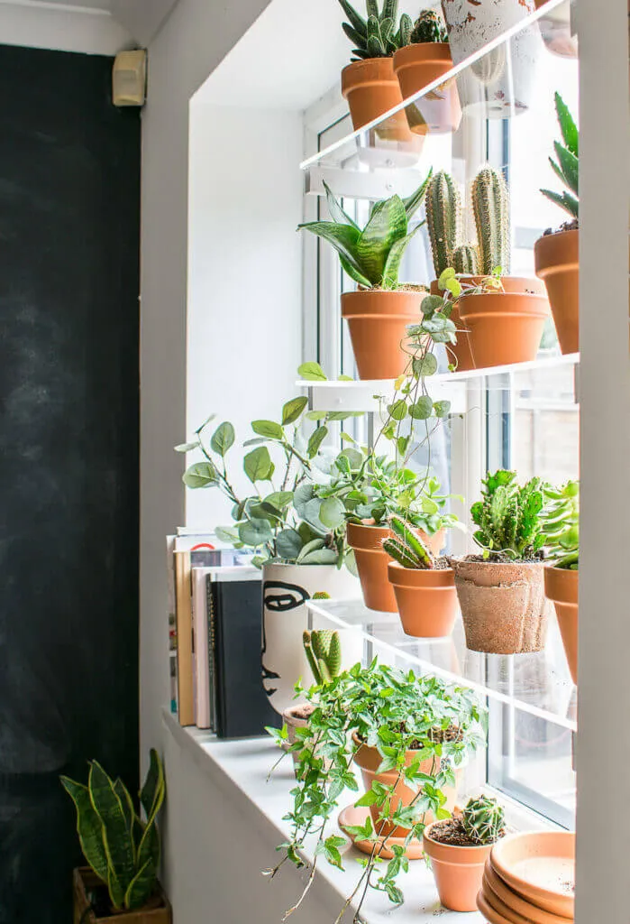 Windowsill Greenhouse Display
Packed with a mix of terracotta pots and ceramic planters, this windowsill is transformed into a mini indoor greenhouse. Perfect for growing succulents and small plants while letting natural light stream in.