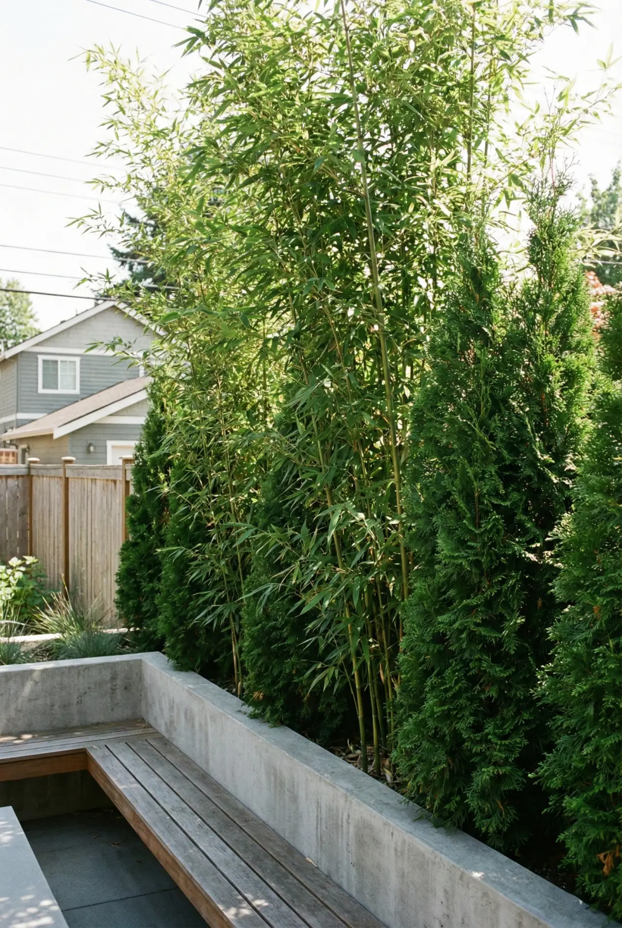 Can't dig? No problem. How to style large container gardens to transform a rental patio or balcony. #containergarden #renterhacks