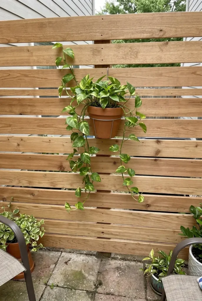 This simple slatted wood screen is one of the easiest ways to add privacy to a small backyard. It blocks the view but still lets light and air through. A perfect weekend DIY project that instantly upgrades a patio.

Save this idea for your next backyard project.

#backyardprivacy #diybackyard #privacywall #backyarddesign #patioinspo #smallbackyardideas #gardenprivacy